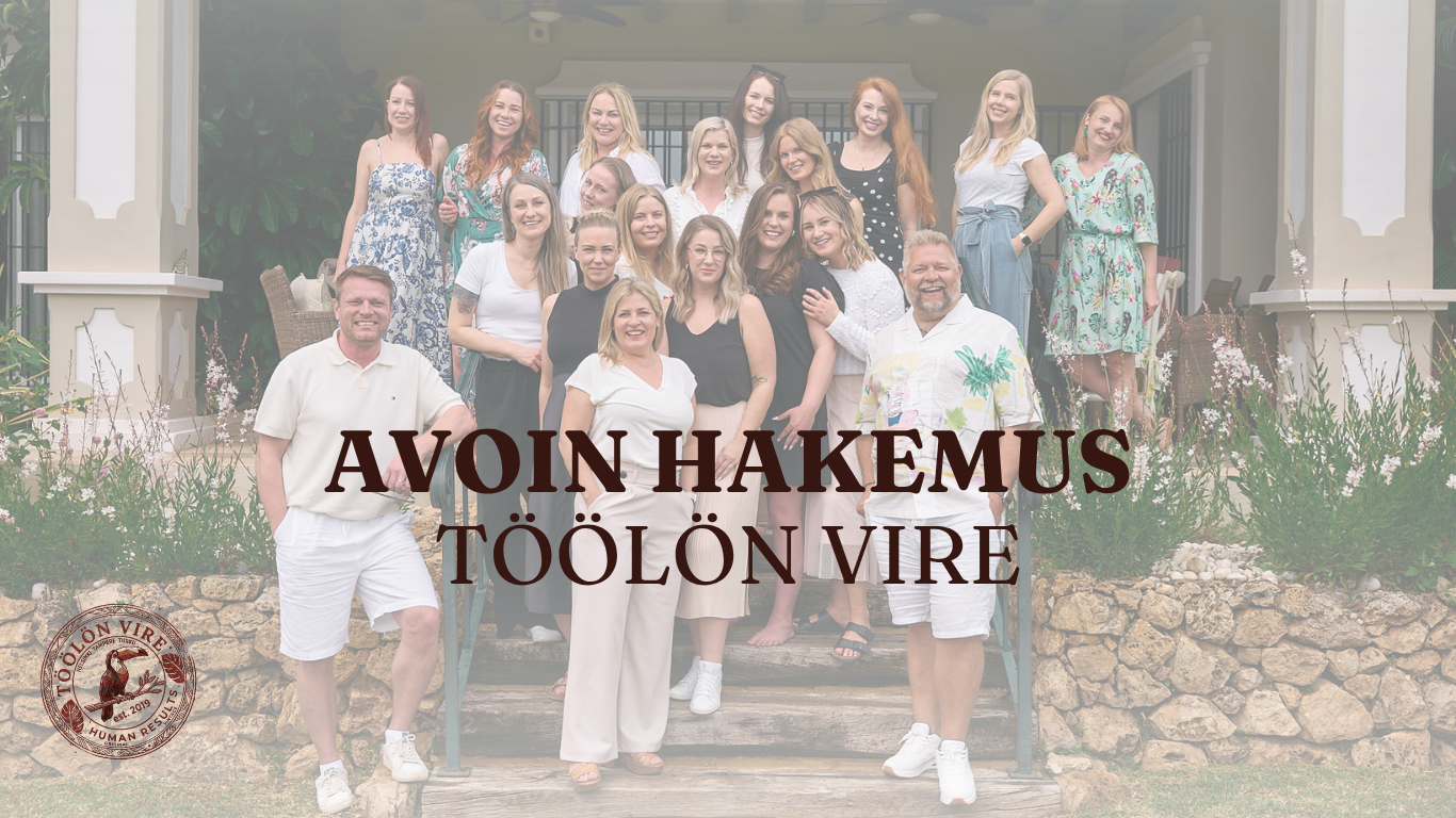 Avoin hakemus, Töölön Vire