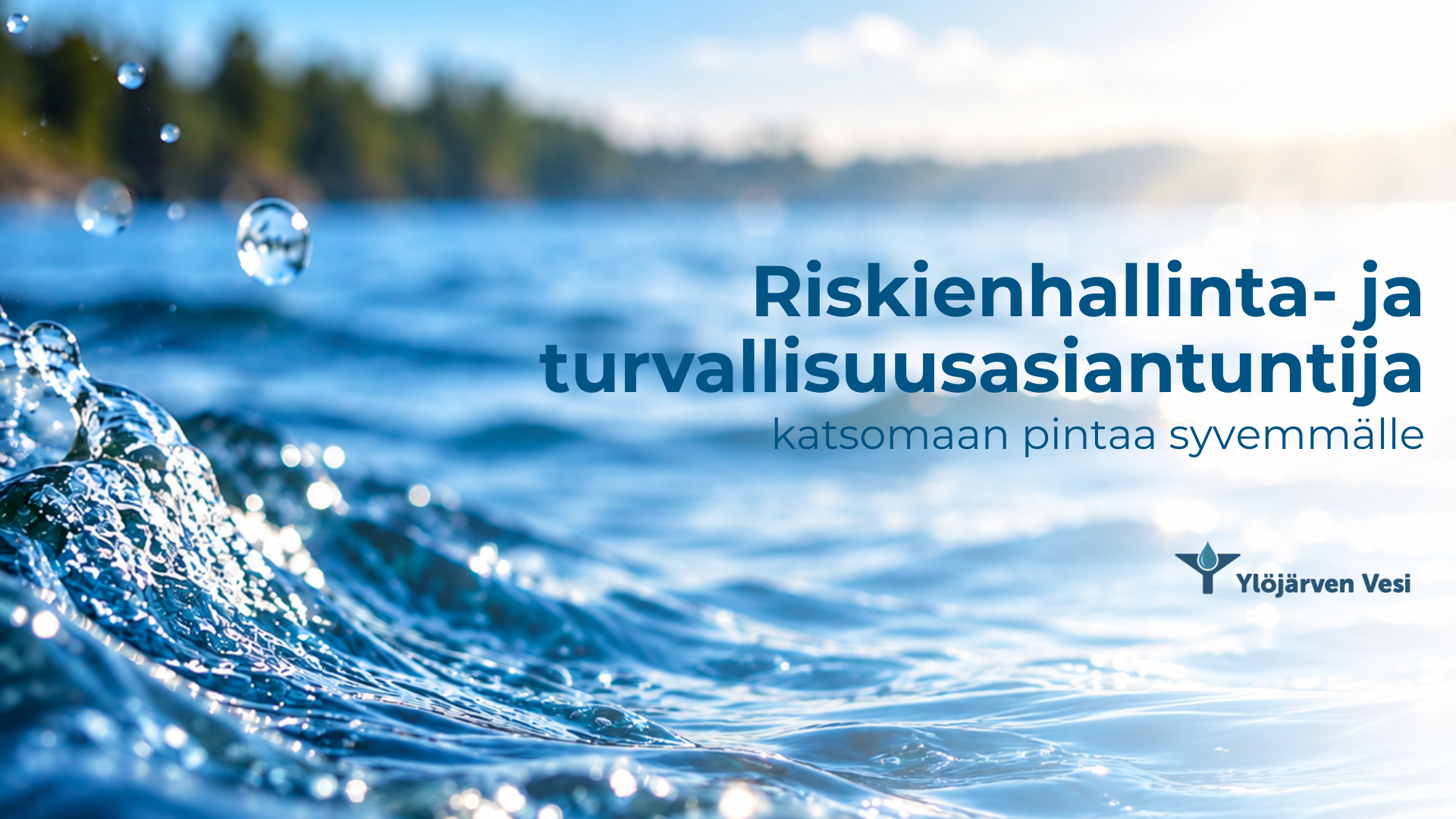 Riskienhallinta- ja turvallisuusasiantuntija
